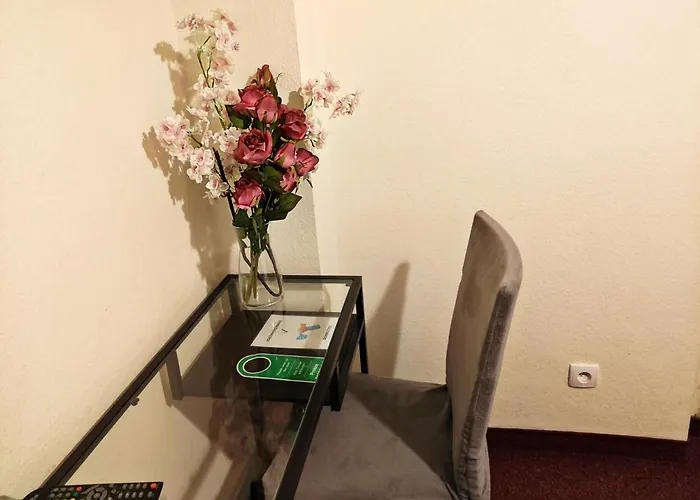 Helvetia Center And Old Town Hostel *